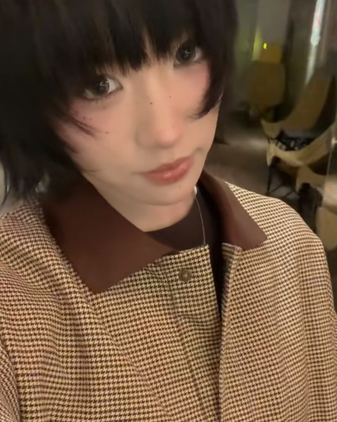 千鳥柄比翼ボタンポロスウェット B0031