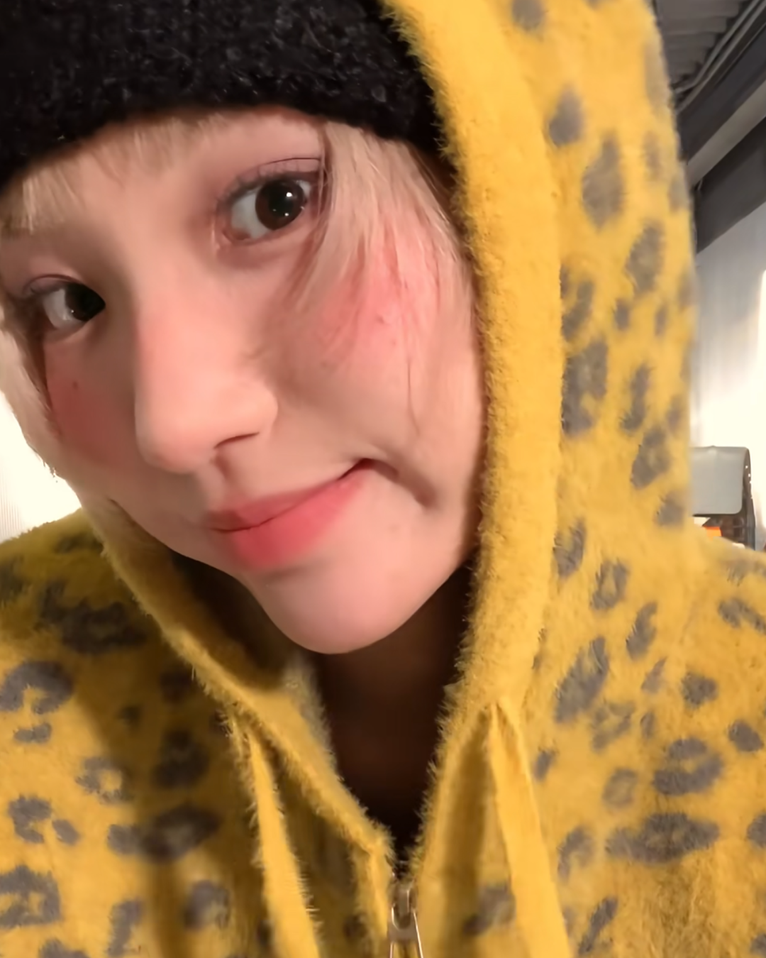 短丈ダブルジップニットパーカー B0070